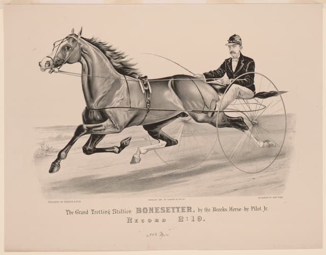The Grand Trotting Stallion Bonesetter, Currier & Ives, hand-coloured lithograph, c.1875