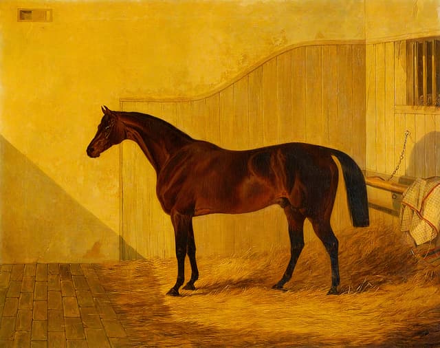 'Amato', John Frederick Herring Sr., oil on canvas, c.1838
