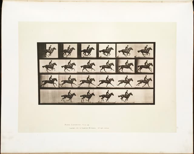 Animal Locomotion, Plate 625, Eadweard Muybridge, collotype, 1887