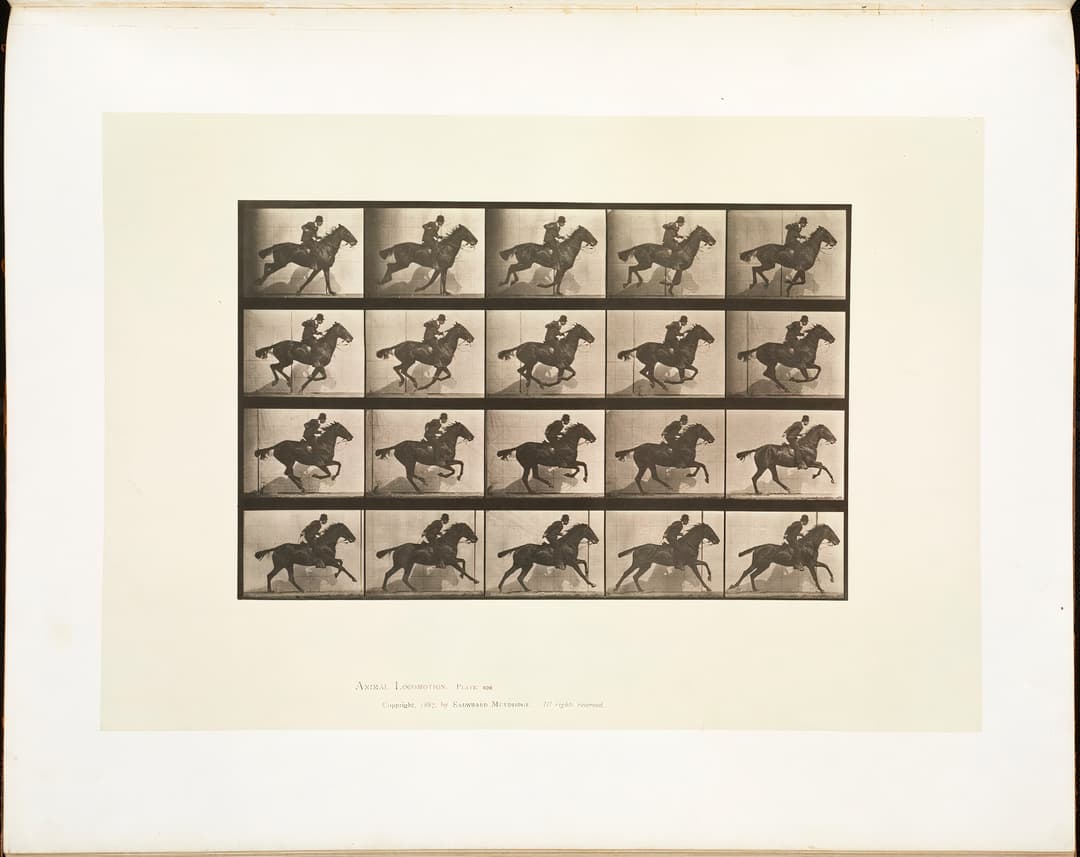 Animal Locomotion, Plate 628, Eadweard Muybridge, collotype, 1887