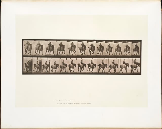 Animal Locomotion, Plate 629, Eadweard Muybridge, collotype, 1887