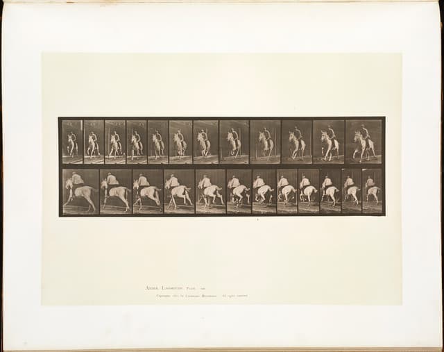 Animal Locomotion, Plate 630, Eadweard Muybridge, collotype, 1887
