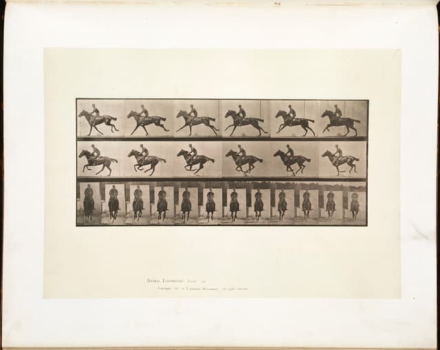 Animal Locomotion, Plate 631, Eadweard Muybridge, collotype, 1887