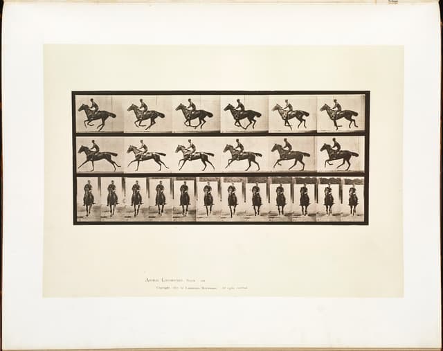 Animal Locomotion, Plate 632, Eadweard Muybridge, collotype, 1887