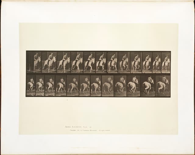 Animal Locomotion, Plate 635, Eadweard Muybridge, collotype, 1887