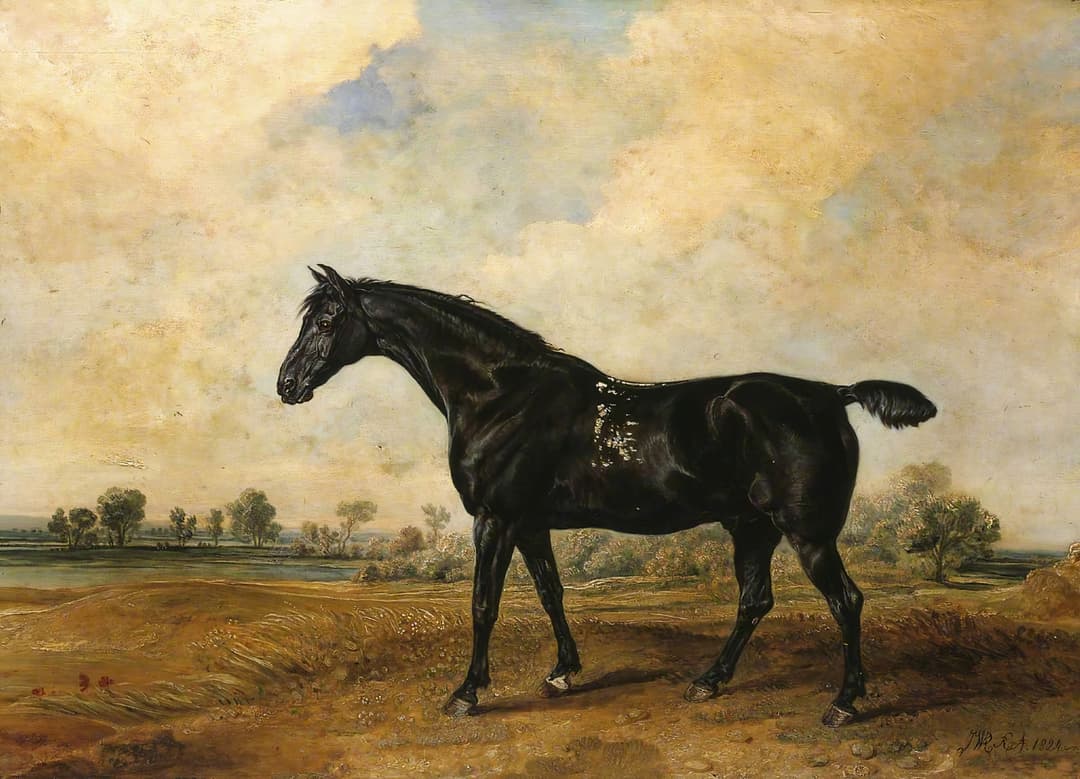 The Black Horse, James Ward, oil on canvas, early 19th c.