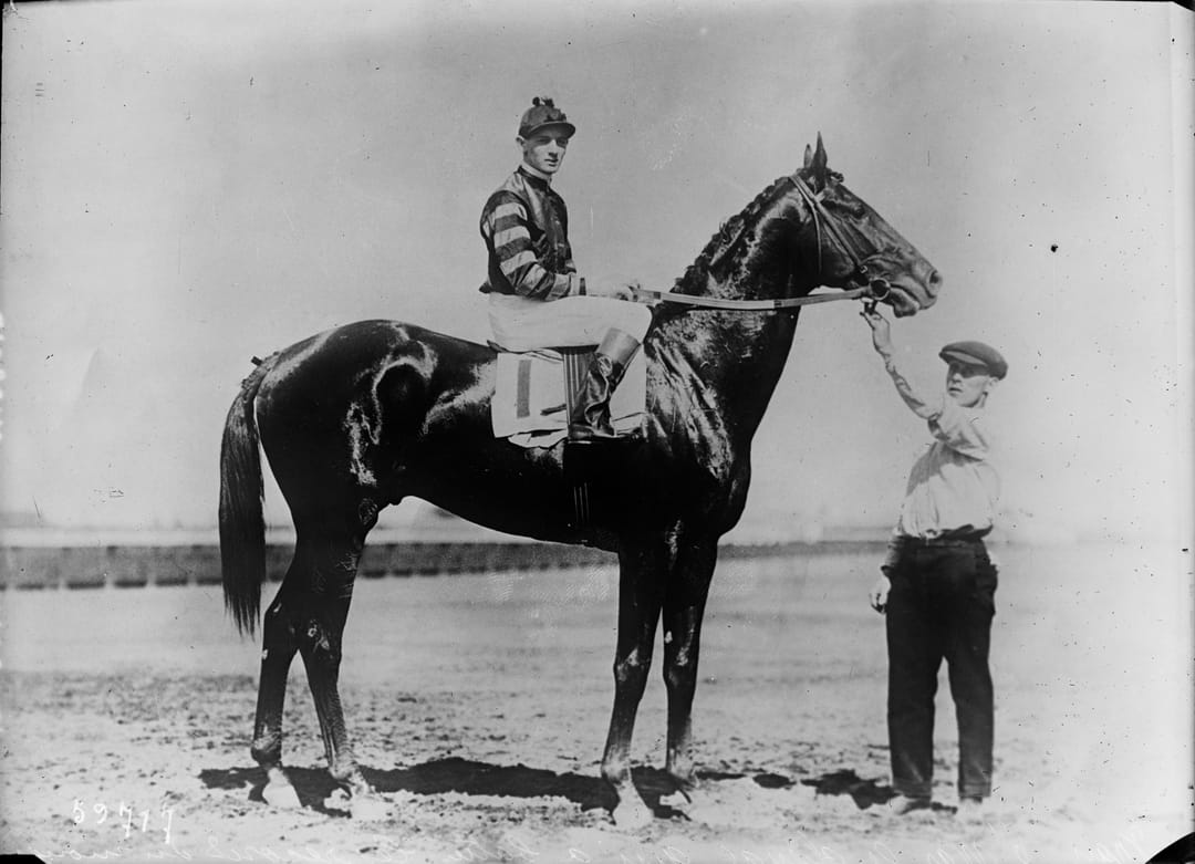 The Champion at Stride