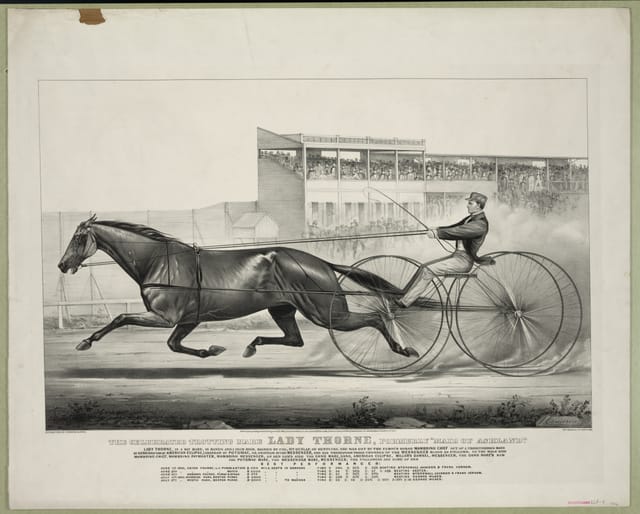 Celebrated Trotting Mare Lady Thorne