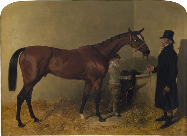 A Bay Racehorse in a Loosebox