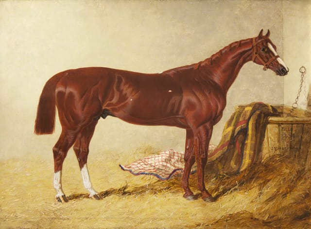 ‘Elis’, Winner of the St Leger, 1836