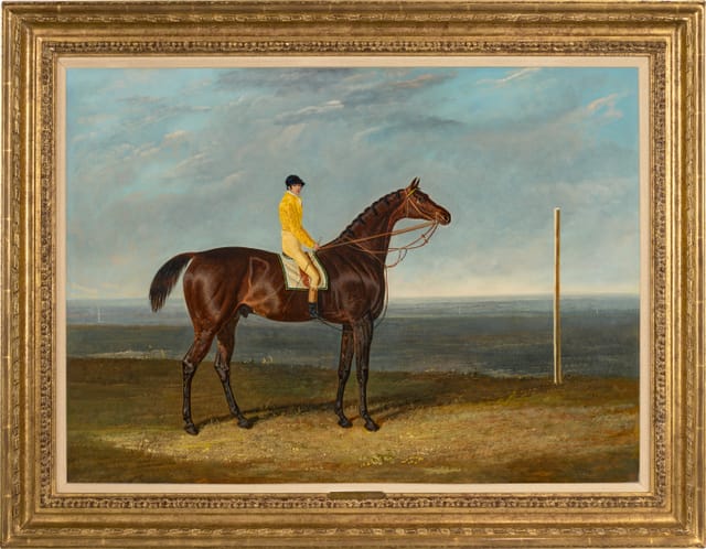 'Jack Spigot', a dark bay racehorse with jockey up