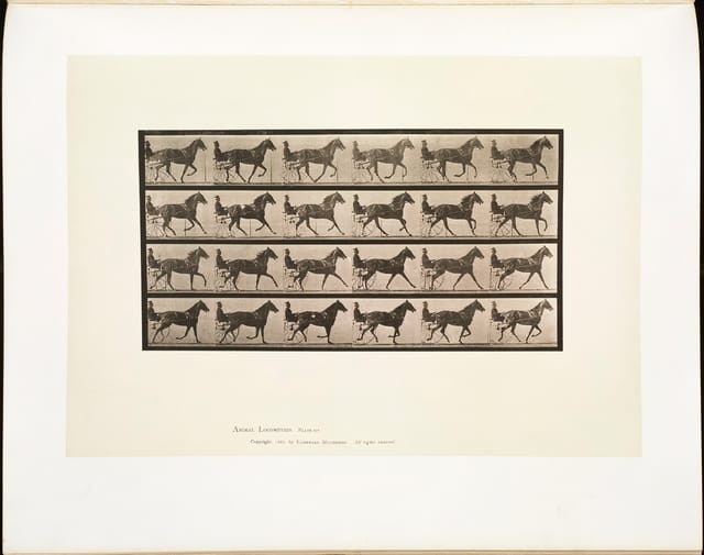 Animal Locomotion, Plate 614