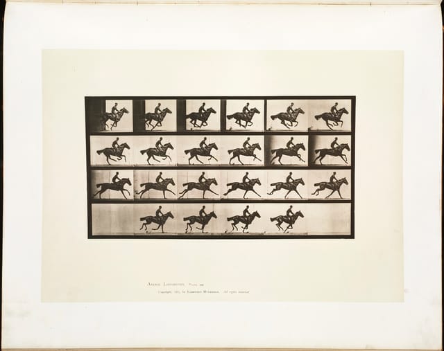 Animal Locomotion, Plate 625