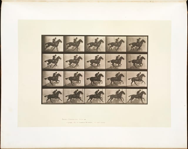 Animal Locomotion, Plate 628