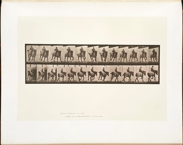 Animal Locomotion, Plate 629