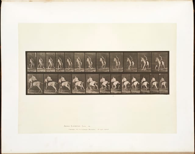 Animal Locomotion, Plate 630