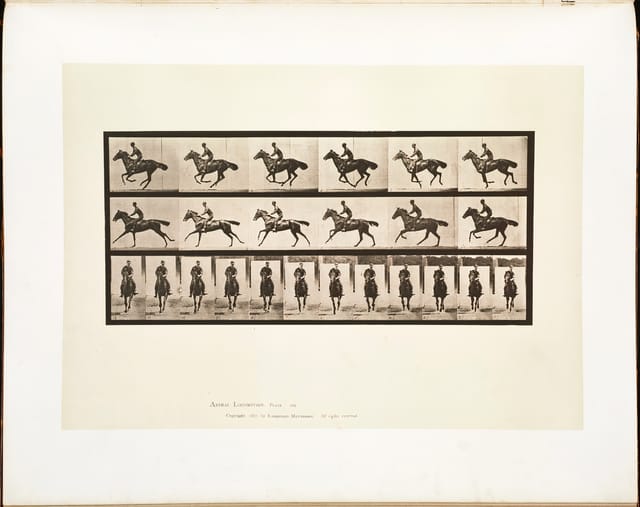 Animal Locomotion, Plate 632