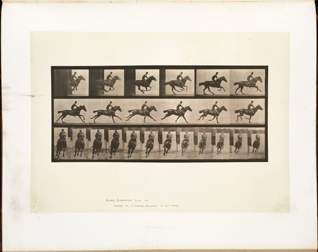 Animal Locomotion, Plate 633