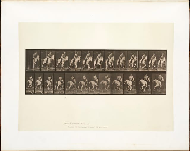 Animal Locomotion, Plate 635