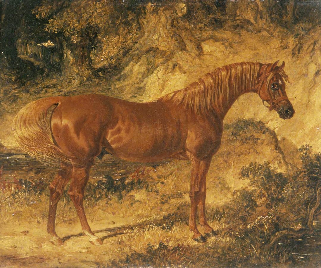 The Racehorse 'Actaeon', John Frederick Herring Sr., oil on canvas, c.1826