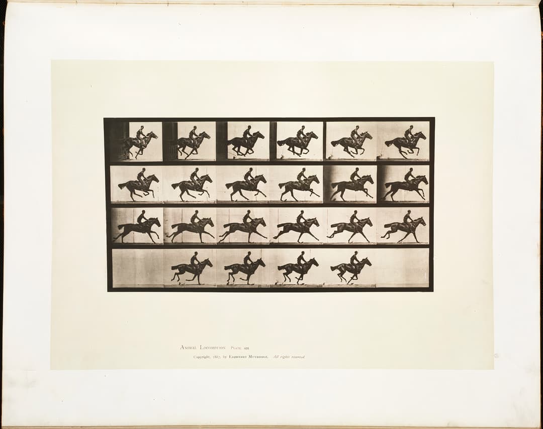 Animal Locomotion, Plate 625, Eadweard Muybridge, collotype, 1887