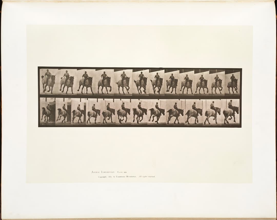 Animal Locomotion, Plate 629, Eadweard Muybridge, collotype, 1887