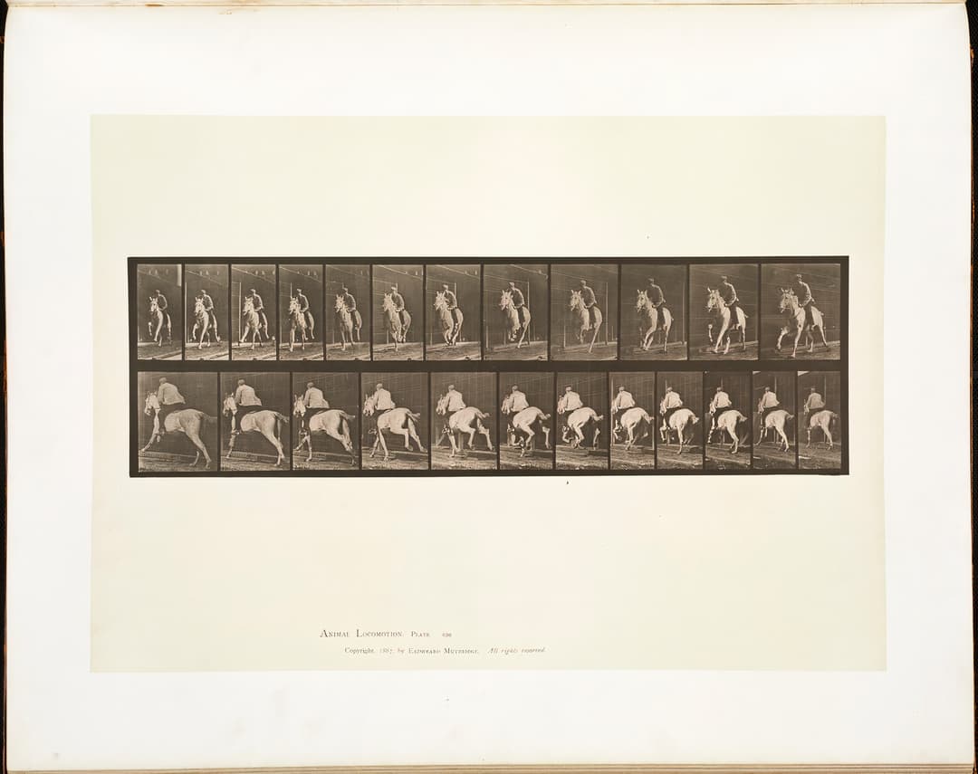Animal Locomotion, Plate 630, Eadweard Muybridge, collotype, 1887