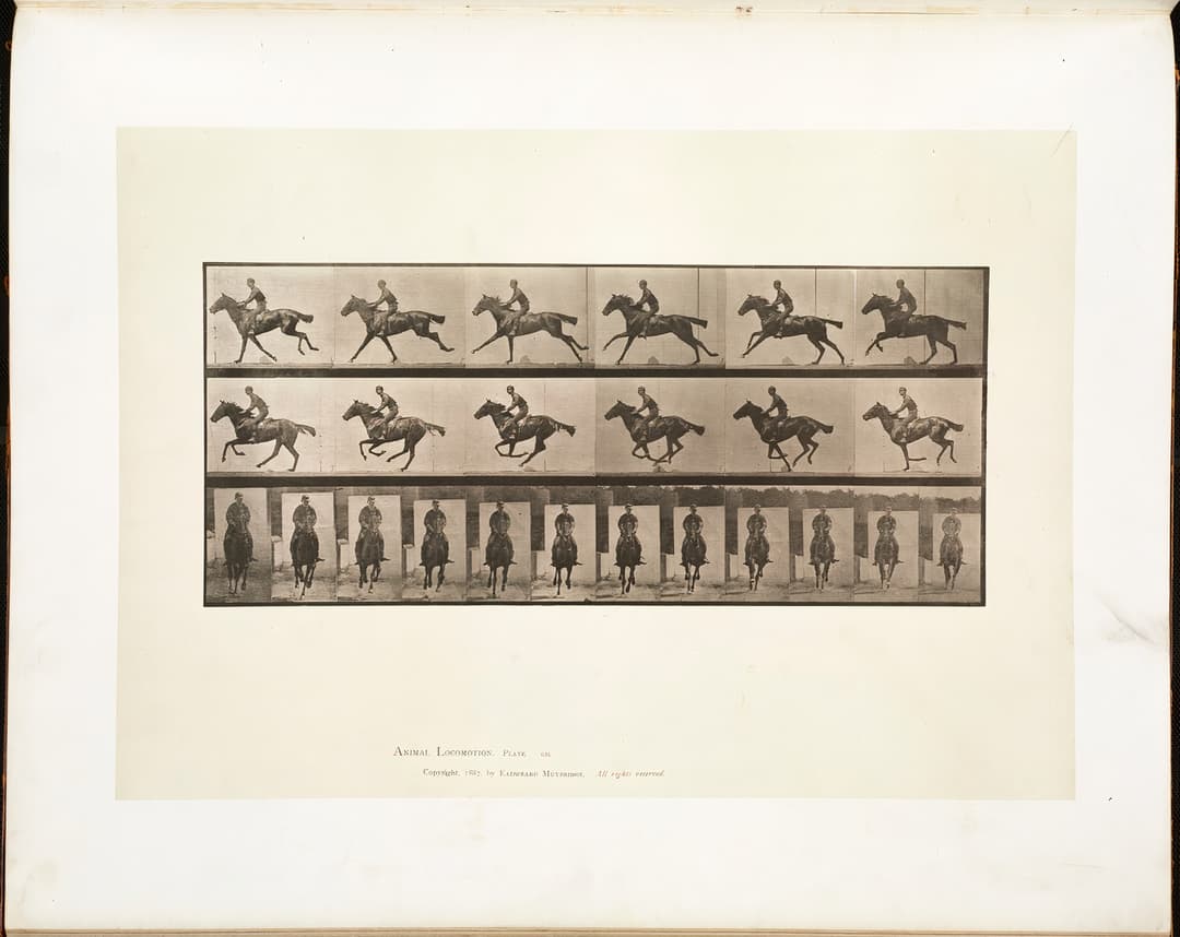Animal Locomotion, Plate 631, Eadweard Muybridge, collotype, 1887