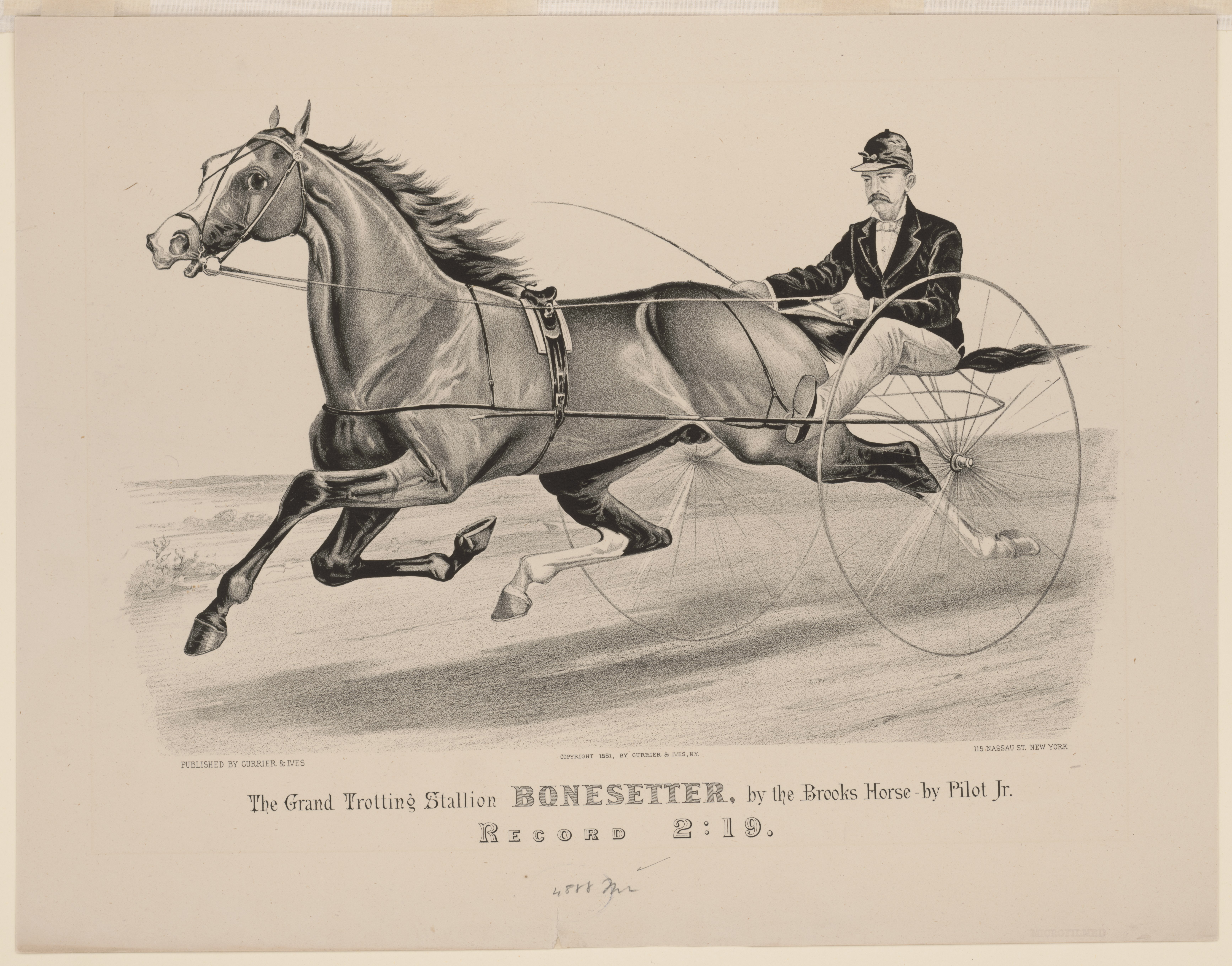The Grand Trotting Stallion Bonesetter