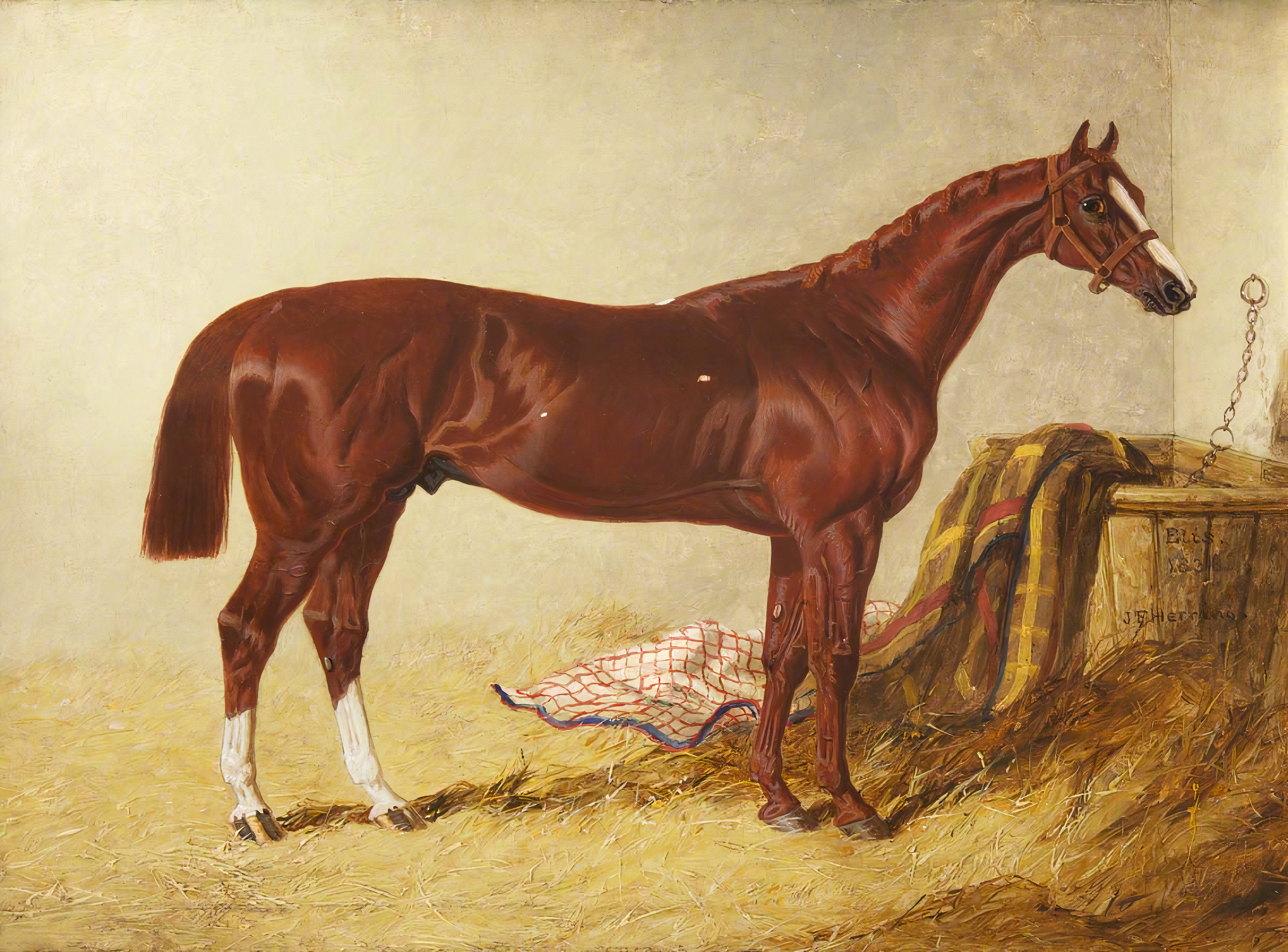 ‘Elis’, Winner of the St Leger, 1836