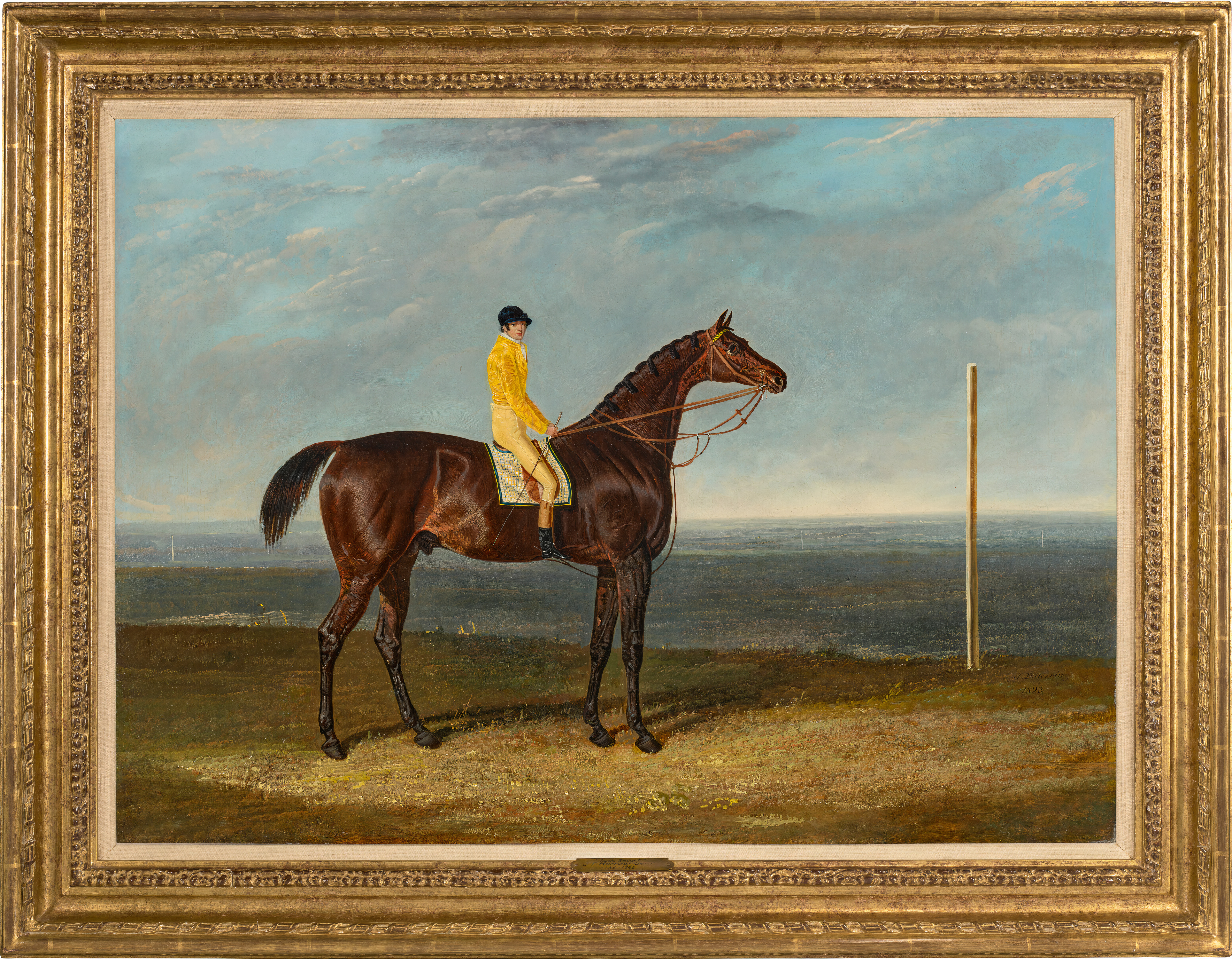 'Jack Spigot', a dark bay racehorse with jockey up