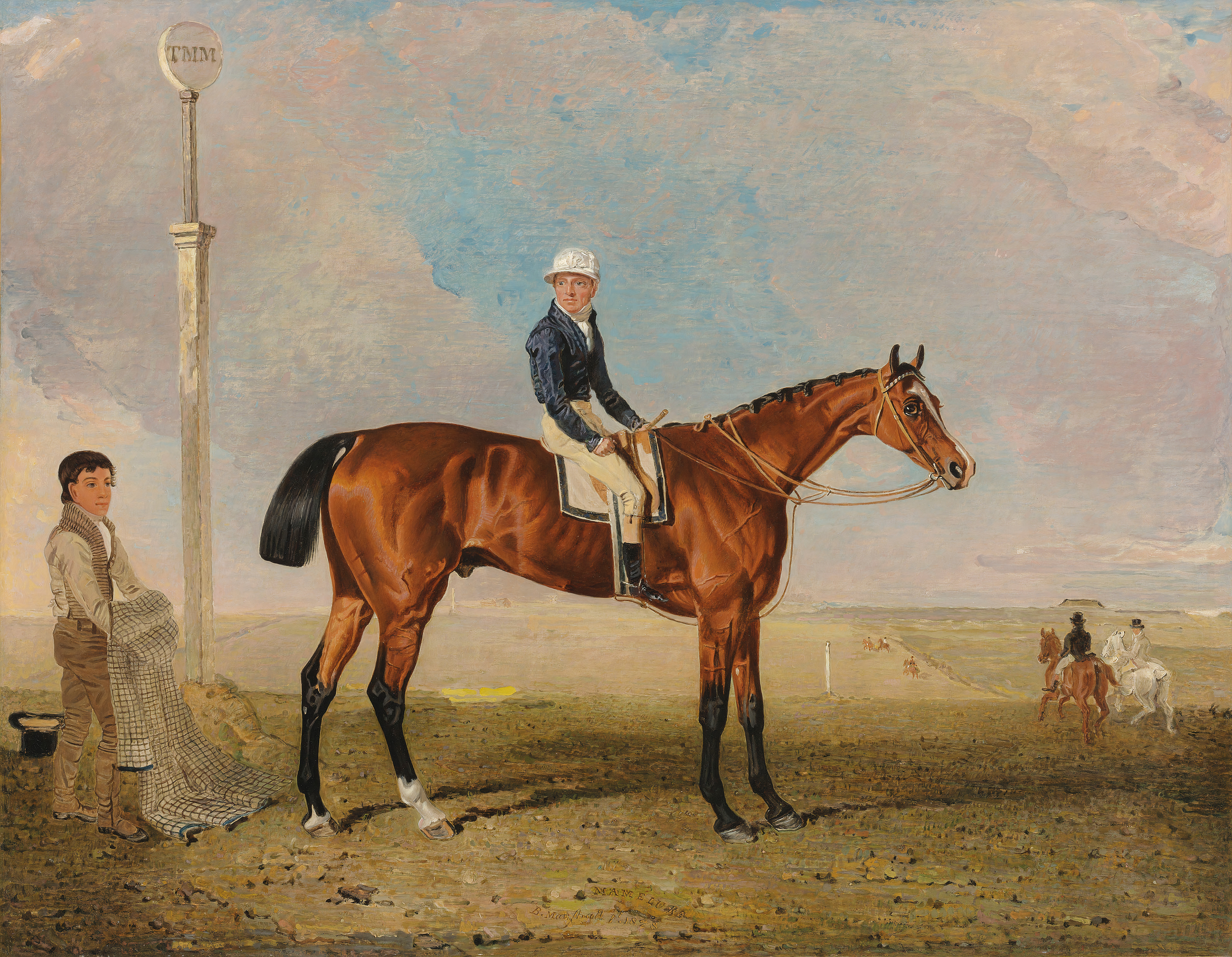 'Mameluke', a bay racehorse, with Will Wheatley up