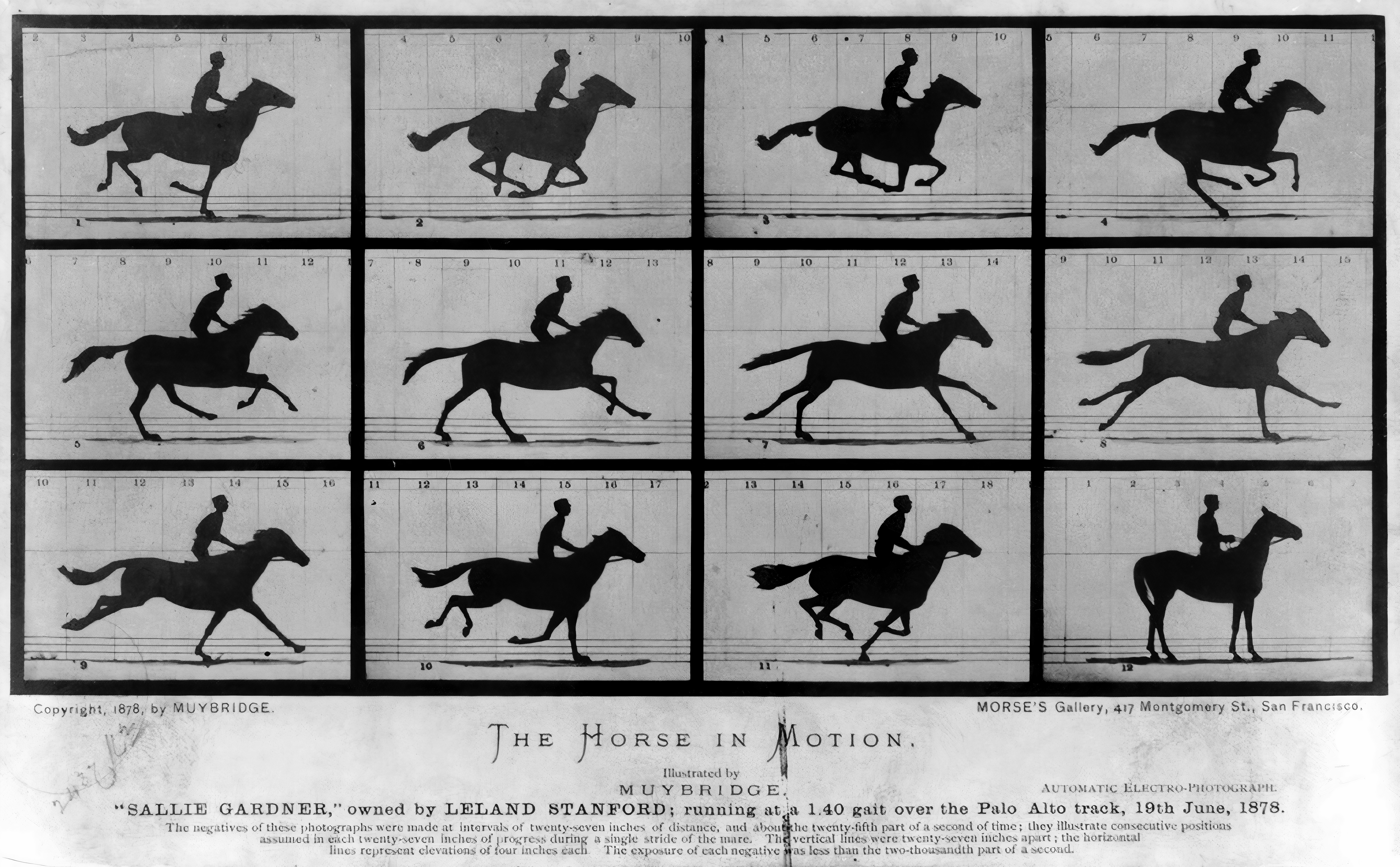 The Horse in Motion — 1878